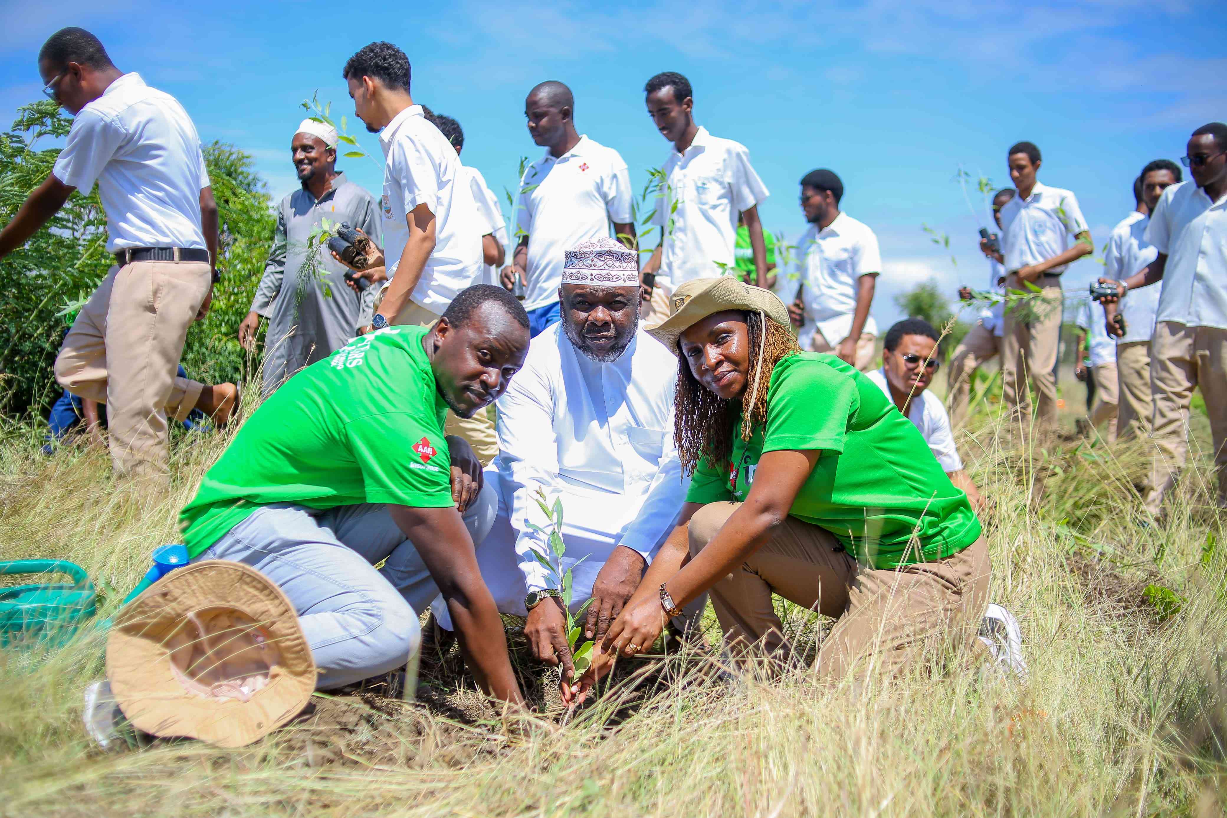 Greener Future: AAR Insurance and student partners plant thousands of trees for sustainability