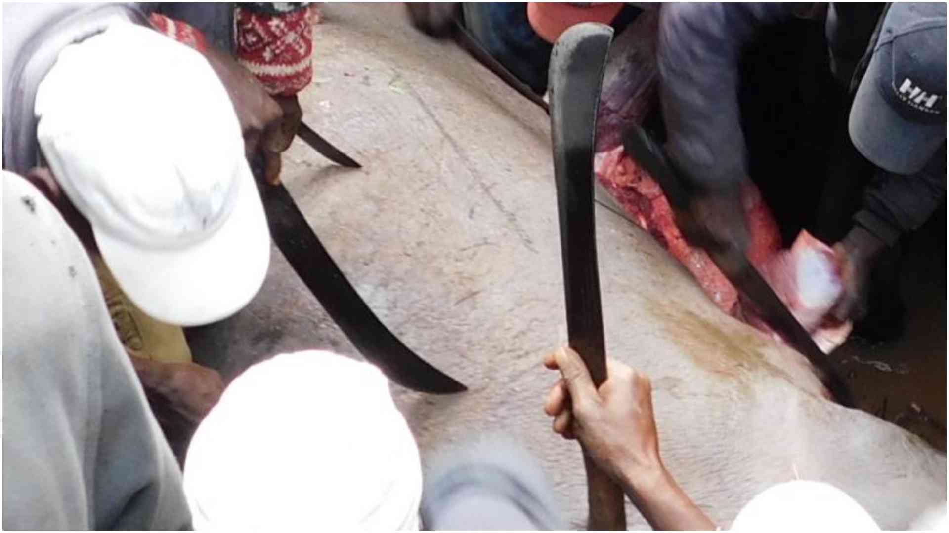 Mbogi menace: Rise of teenage gangs terrorising hapless Eastlands residents
