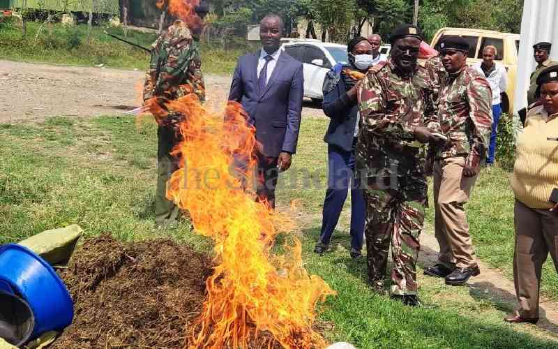 Police in Naivasha seize Sh2 million bhang