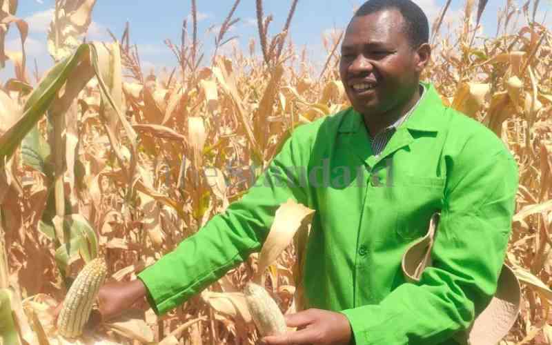 Acuerdo comercial entre Kenia y EE. UU., OGM encabezan la agenda de Ruto en la cumbre de DC
