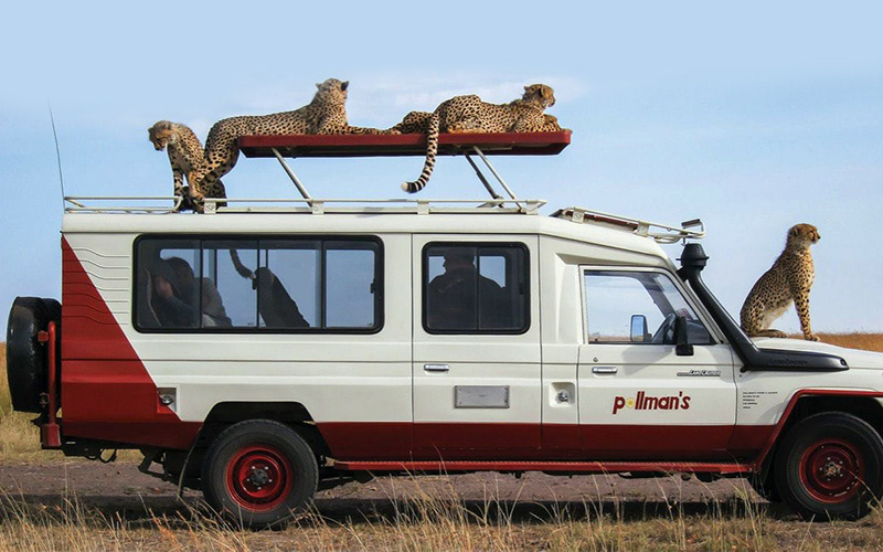 Africa's richest man Aliko Dangote acquires Kenya's oldest tour company