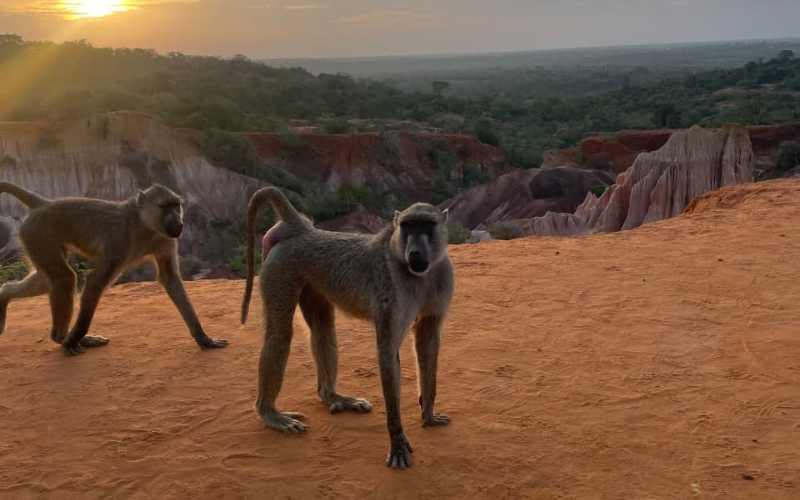 Exploring Kilifi's 'Hell's Kitchen' where punishing trek ends in breathtaking sunset