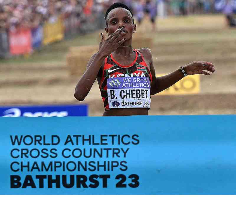 Focus cross country best sale