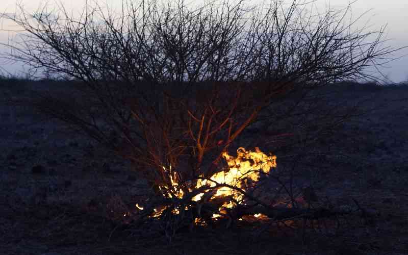 Stranded up North: A journalist's tale covering drought stricken Northern Kenya