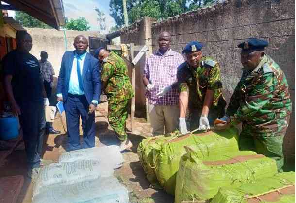 Wanted drug lord evades NACADA dragnet as 11 bags of cannabis sativa recovered in Kisii
