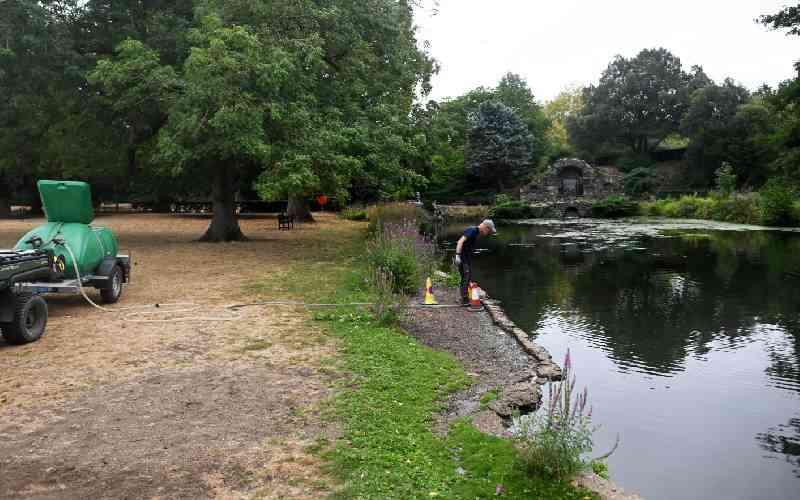 Trees 'giving up': climate change hammers historic English gardens