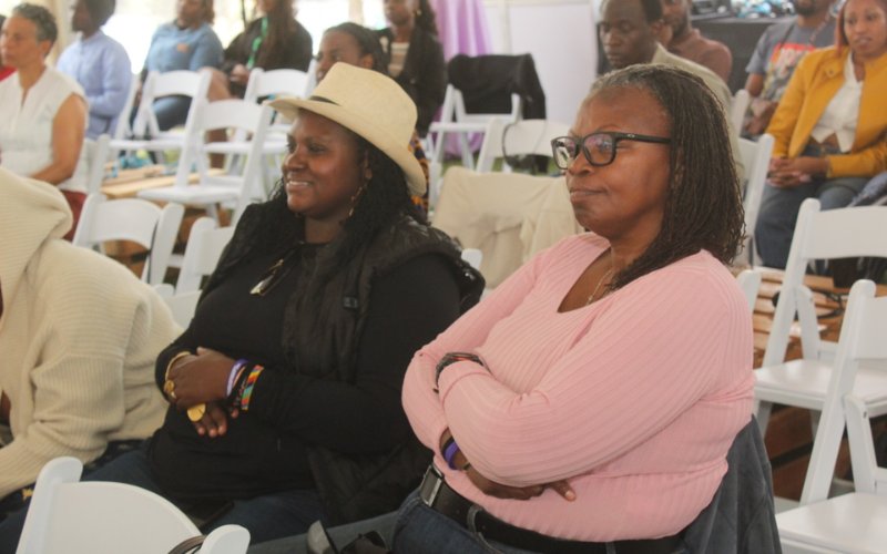 African filmmakers call for better IP protection, gov't support amid industry growth
