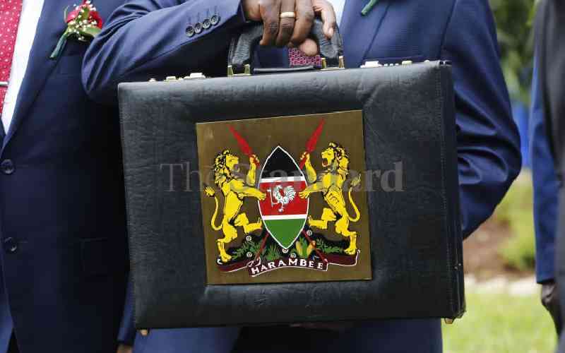 Budget 2024 The big picture and the IMF hand