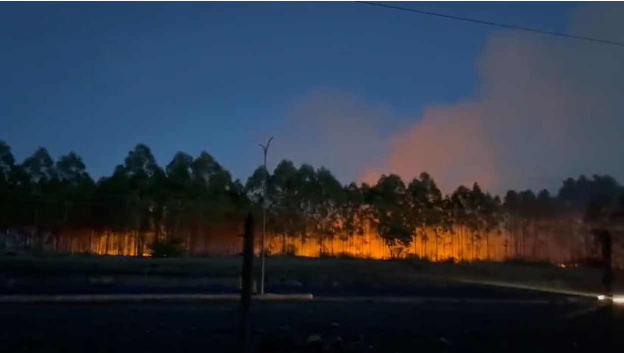 Fire seen blazing at Northlands farm - The Standard