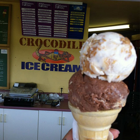 Crocodile ice cream