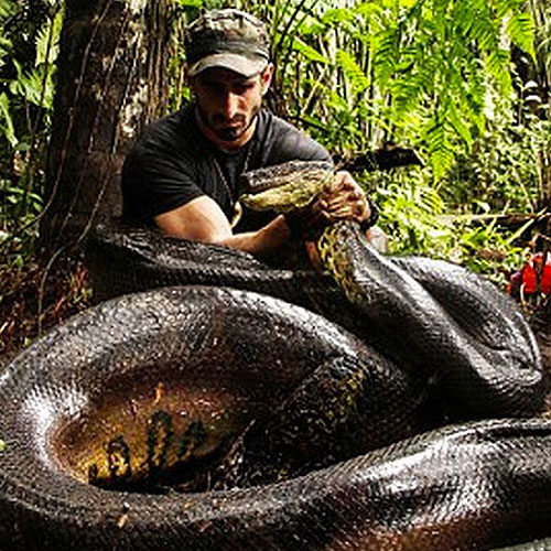 Paul Rosolie ;man swallowed alive by snake