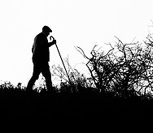 Man walking near bush