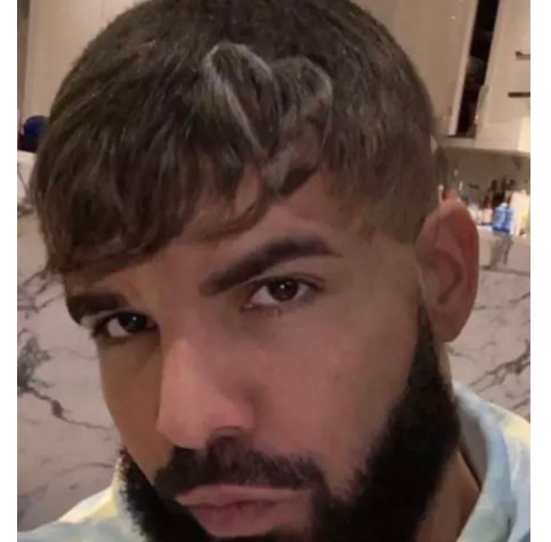 Drake Debuts New Haircut On Instagram Fans Have A Lot To Say About It